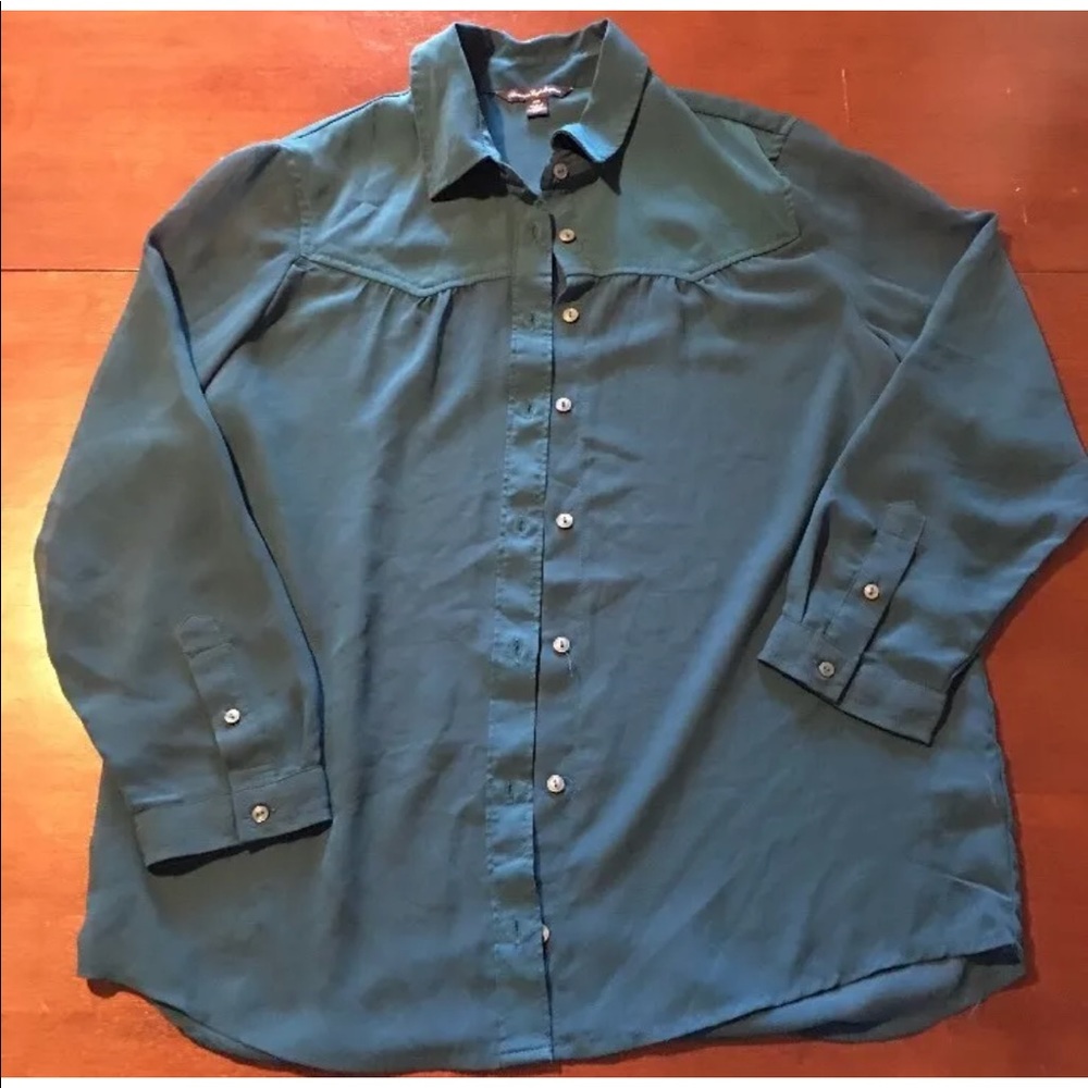 4/$20 American Eagle sheer button up blouse MD